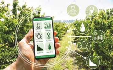 Chuyển đổi số nông nghiệp, nông thôn để xây dựng làng thông minh. (Ảnh minh họa)