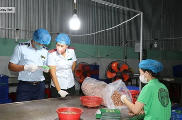Đoàn kiểm tra liên ngành kiểm tra các tổ chức, cá nhân, cơ sở sản xuất, kinh doanh về an ninh, an toàn thực phẩm. (Ảnh: TTXVN)