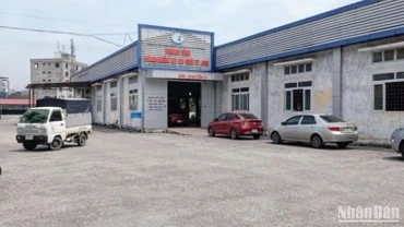 Thưa vắng phương tiện xe cơ giới đến kiểm định tại Trung tâm đăng kiểm xe cơ giới 17.01D tại thành phố Thái Bình. 