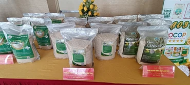 Một số sản phẩm gạo địa phương của tỉnh Thái Bình đã được công nhận là sản phẩm OCOP 3 sao và đang đề nghị xếp hạng 4 sao.