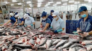 Theo Cục Thủy sản và kiểm ngư, nếu áp thuế đối ứng mức 46% sẽ ảnh hưởng lớn đến chuỗi sản xuất ngành hàng.
