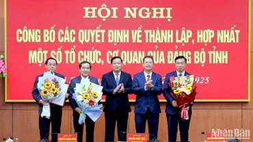 Trao Quyết định thành lập Đảng bộ các cơ quan Đảng tỉnh Thái Bình.