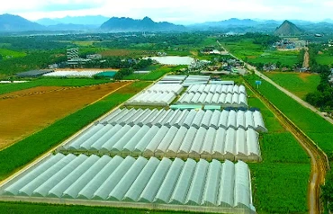Trung tâm nông nghiệp công nghệ cao trên vùng đất Lam Sơn-Sao Vàng, tỉnh Thanh Hóa.