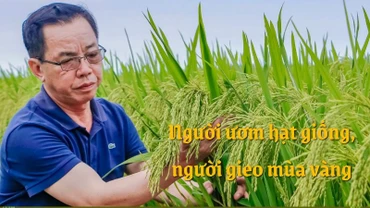 Người ươm hạt giống, người gieo mùa vàng