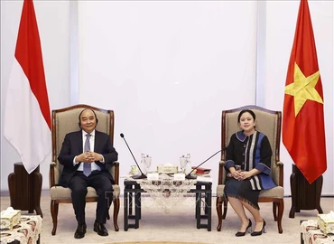 Ảnh minh họa: Chủ tịch nước Nguyễn Xuân Phúc hội kiến Chủ tịch Hội đồng Đại biểu nhân dân Indonesia, bà Puan Maharani. (Ảnh: TTXVN)