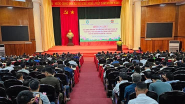Quang cảnh Hội nghị.