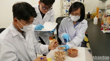 Hoạt động nghiên cứu tại Phòng Công nghệ năng lượng và Môi trường, Viện Khoa học và Công nghệ Việt Nam-Hàn Quốc.
