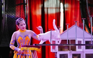 "Dưới sự hướng dẫn, huấn luyện của nghệ sĩ Bùi Huyền Trang, những chú mèo thực hiện được nhiều động tác xiếc thú vị".