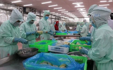 Chế biến nông sản xuất khẩu. Ảnh minh hoạ: TTXVN