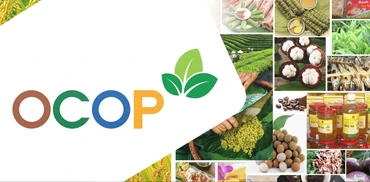 OCOP- Những sản vật mang nặng giá trị văn hóa 
