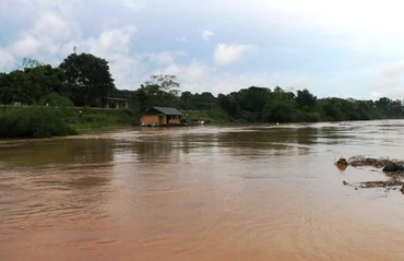 Nước lũ đang lên trên sông Bưởi ở huyện Thạch Thành, tỉnh Thanh Hóa.