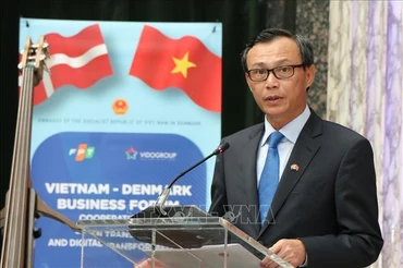 Ảnh minh họa: Đại sứ Lương Thanh Nghị phát biểu tại Diễn đàn Doanh nghiệp Việt Nam-Đan Mạch, sáng 5/9/2022. (Ảnh: TTXVN)