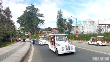 Ngừng thí điểm hoạt động dịch vụ xe điện chở du khách tham quan tại thành phố Đà Lạt.