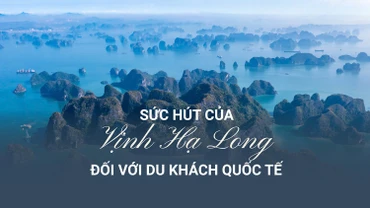 Sức hút của Vịnh Hạ Long đối với du khách quốc tế