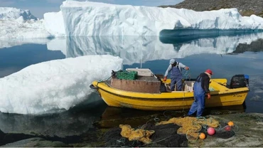 [Video] Greenland "bật đèn xanh" hợp tác khoáng sản với EU 