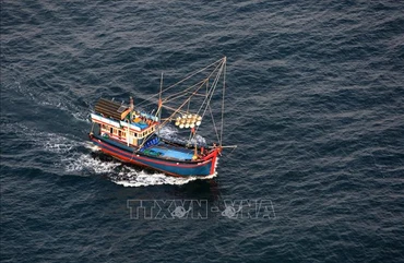 Ảnh minh họa: TTXVN
