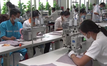 Sản xuất tại công ty may Thái Tuấn, Long An.