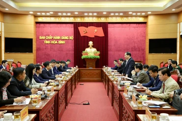 Các đại biểu tại buổi làm việc.