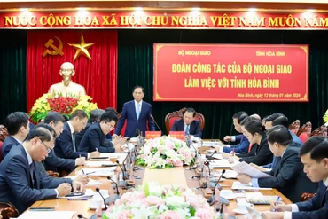 Bộ trưởng Ngoại giao Bùi Thanh Sơn phát biểu tại buổi làm việc.