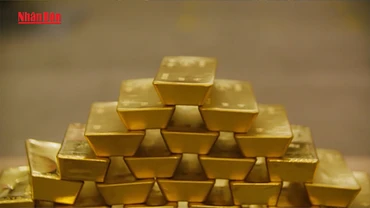 [Video] Giá vàng đột ngột giảm mạnh