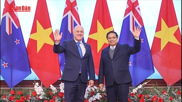 [Video] Thủ tướng Phạm Minh Chính hội đàm với Thủ tướng New Zealand