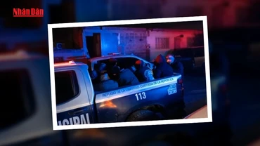 [Video] Đại sứ quán Việt Nam tại Mexico hỗ trợ 11 công dân được giải cứu