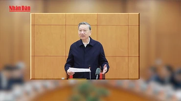 [Video] Tổng Bí thư làm việc với Thường trực các Tiểu ban chuẩn bị Đại hội XIV của Đảng 