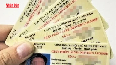 [Video] Hướng dẫn 2 cách cấp, đổi giấy phép lái xe từ 1/3/2025