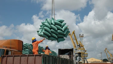 Xuất khẩu gạo có nhiều tín hiệu vui.