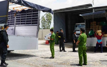 Lực lượng chức năng khám xét cơ sở sang chiết, đóng gói đường cát Ngọc Duyên, ấp 4, xã Vĩnh Châu B, huyện Tân Hưng, tỉnh Long An. 