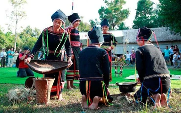 Chuẩn bị cho lễ mừng lúa mới. (Ảnh: Làng Văn hóa-Du lịch các dân tộc Việt Nam)