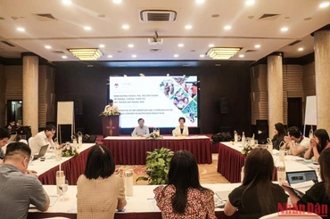 Khoảng 300 người chết do thiên tai mỗi năm tại Việt Nam