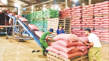 Các doanh nghiệp ở Gia Lai được hưởng nhiều chính sách hỗ trợ tạo thuận lợi cho hoạt động.