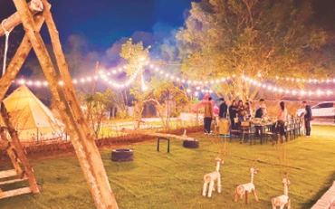 Khu cắm trại Vườn Chill Glamping Land thu hút giới trẻ. 