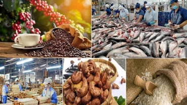 Những tín hiệu tích cực từ xuất khẩu nông, lâm, thủy sản 5 tháng đầu năm 