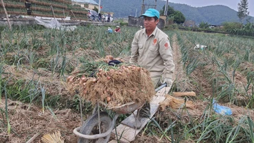 Mục tiêu của xây dựng nông thôn mới năm 2023 là cả nước có khoảng 78% xã đạt chuẩn nông thôn mới, trong đó có khoảng 25% số xã đạt chuẩn nâng cao và kiểu mẫu.