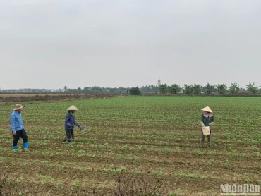Chương trình mục tiêu quốc gia về xây dựng nông thôn mới mang lại những kết quả to lớn, toàn diện.