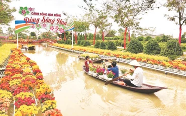Du khách trải nghiệm tại Cánh đồng hoa hồng, thành phố Sa Đéc.