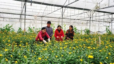 Lãnh đạo Đảng ủy xã Thạch Châu và chi bộ thôn Bằng Châu kiểm tra một mô hình sản xuất hữu cơ ở xã Thạch Châu, huyện Lộc Hà.
