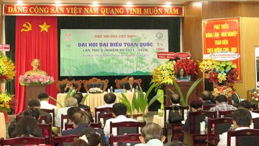 Quang cảnh đại hội