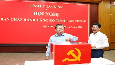 Các đại biểu bầu chức danh Bí thư Tỉnh ủy.