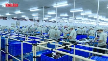 [Video] EU sẽ không áp dụng các biện pháp phòng thủ về thuế và phi thuế đối với Việt Nam