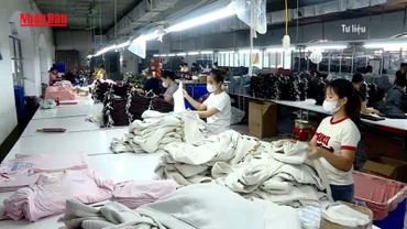 [Video] Ban hành Kế hoạch hành động của Chính phủ triển khai Nghị quyết 68 trong tháng 5/2025