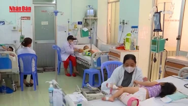 [Video] Các bệnh truyền nhiễm mùa hè đang có xu hướng gia tăng