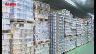 [Video] Bộ Y tế đề nghị thu hồi 12 loại sữa giả