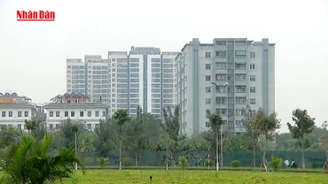 [Video] “Vắng bóng” căn hộ cho thuê dưới 10 triệu/tháng tại quận trung tâm Hà Nội