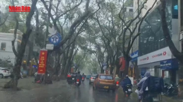 [Video] Không khí lạnh tràn về gây mưa lớn tại Bắc Bộ và Bắc Trung Bộ