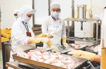 Xuất khẩu thủy sản đạt 10 tỷ USD năm 2024. Ảnh: NAM ANH