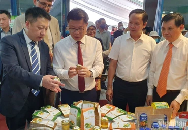 Hội chợ xúc tiến thương mại nông nghiệp quốc tế được tổ chức thường niên thu hút doanh nghiệp và người tiêu dùng tham gia.