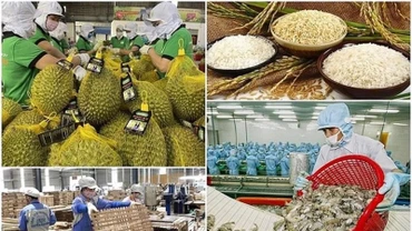 Kim ngạch xuất khẩu nông, lâm, thủy sản tháng 3/2025 của Việt Nam ước đạt 6,14 tỷ USD.